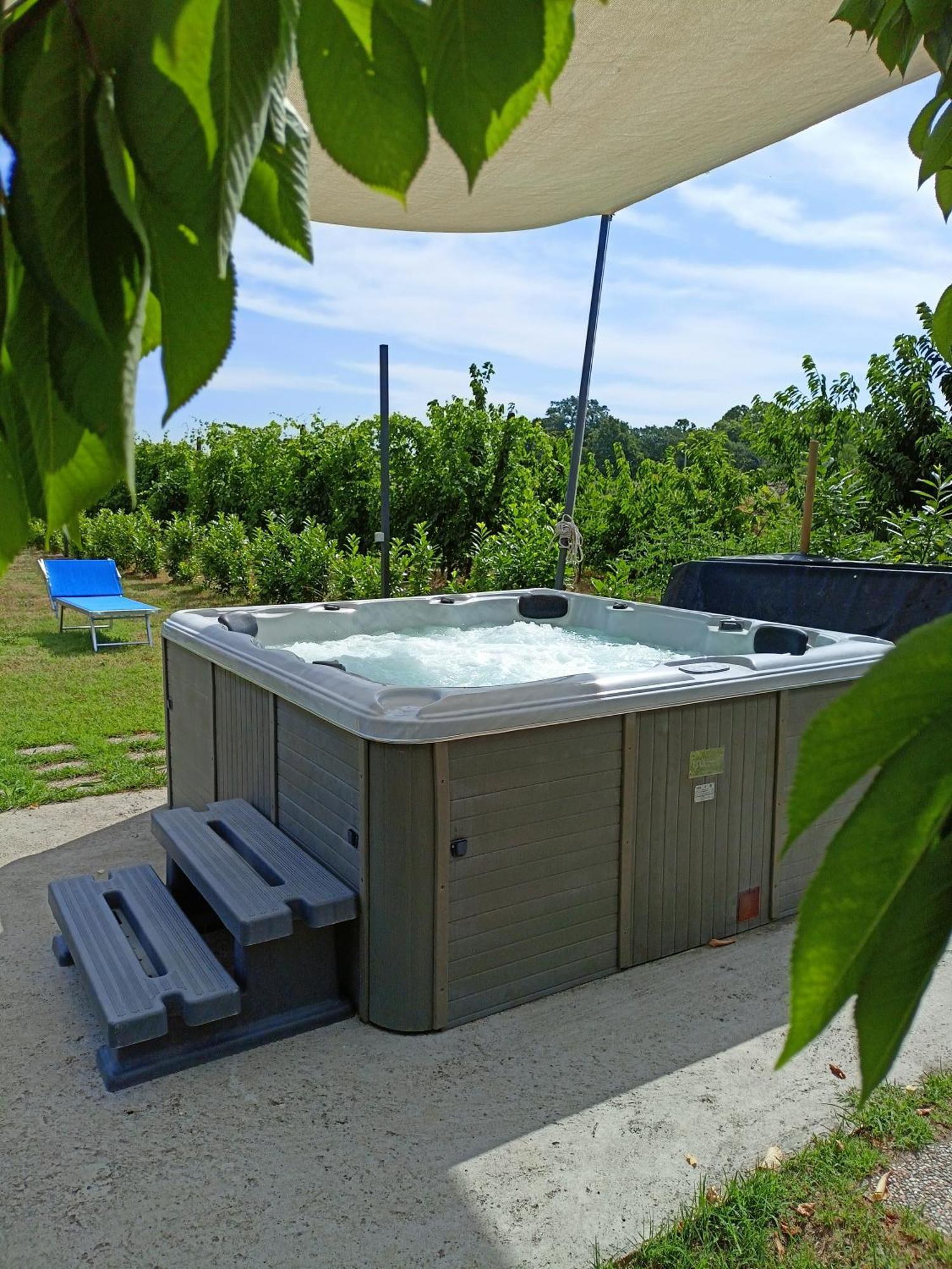 La Casa Della Nonna Bed & Breakfast Brisighella Dış mekan fotoğraf
